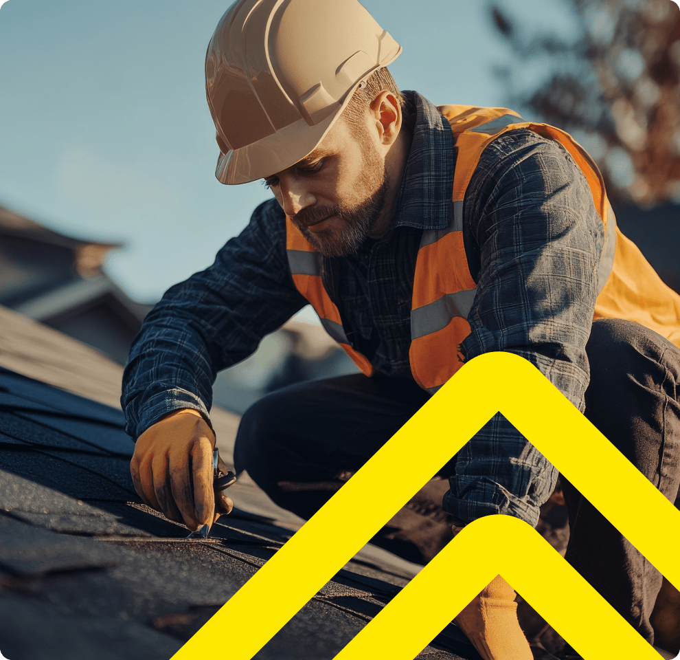 Why Tampa Bay Trusts Alpha Roofing